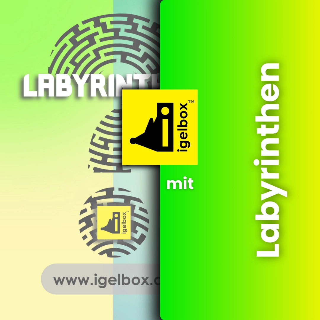 igelbox mit Labyrinthen