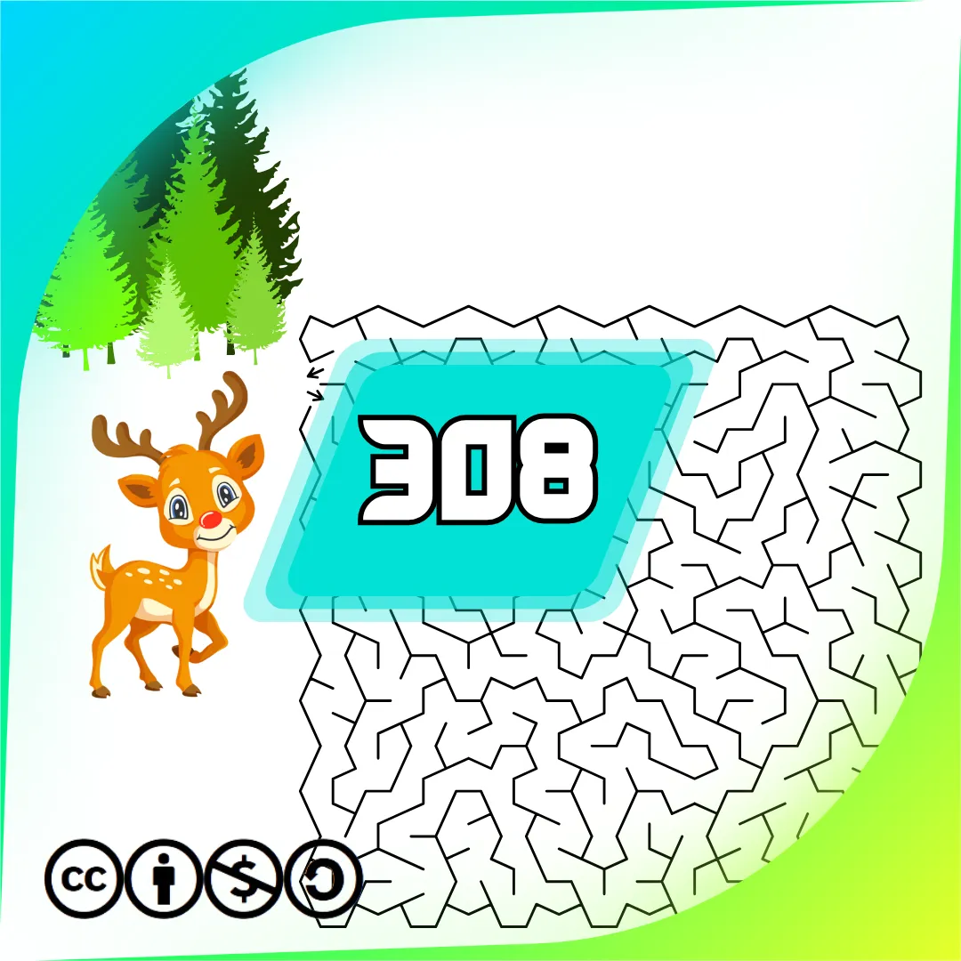 Labyrinthen Heft Nr. 308