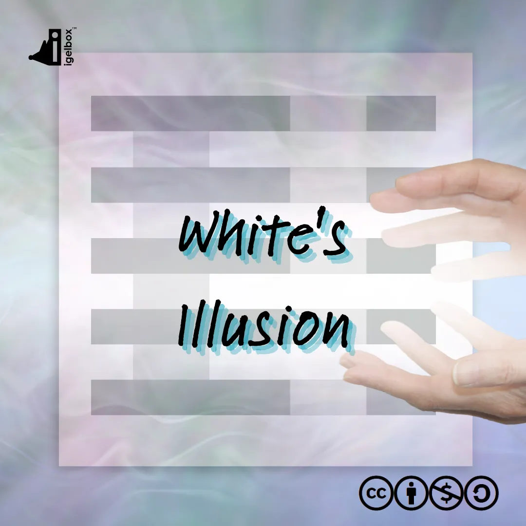 White's Illusion