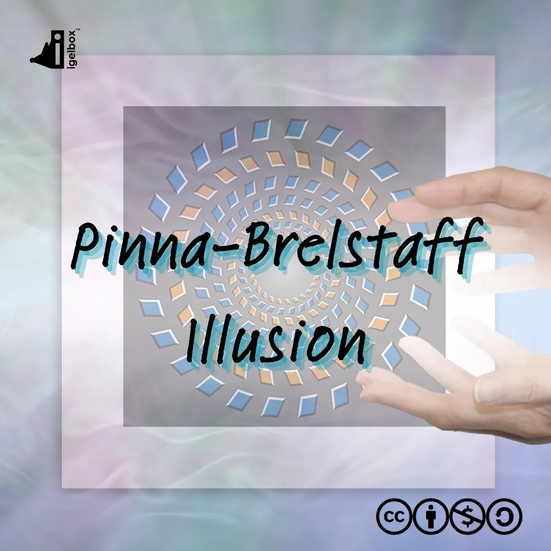 Pinna-Brelstaff Illusion