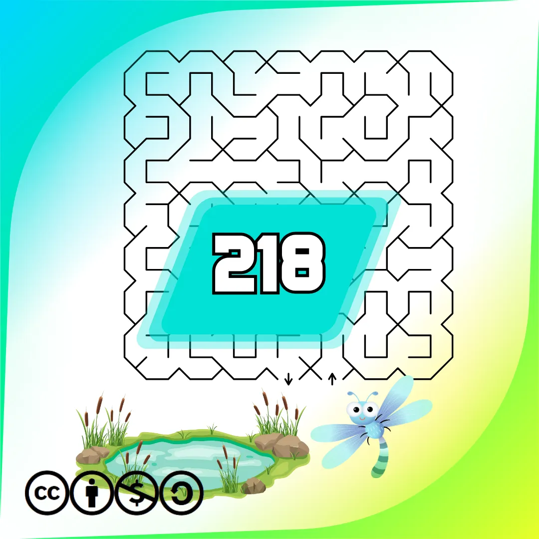 Labyrinthen Heft nr. 218