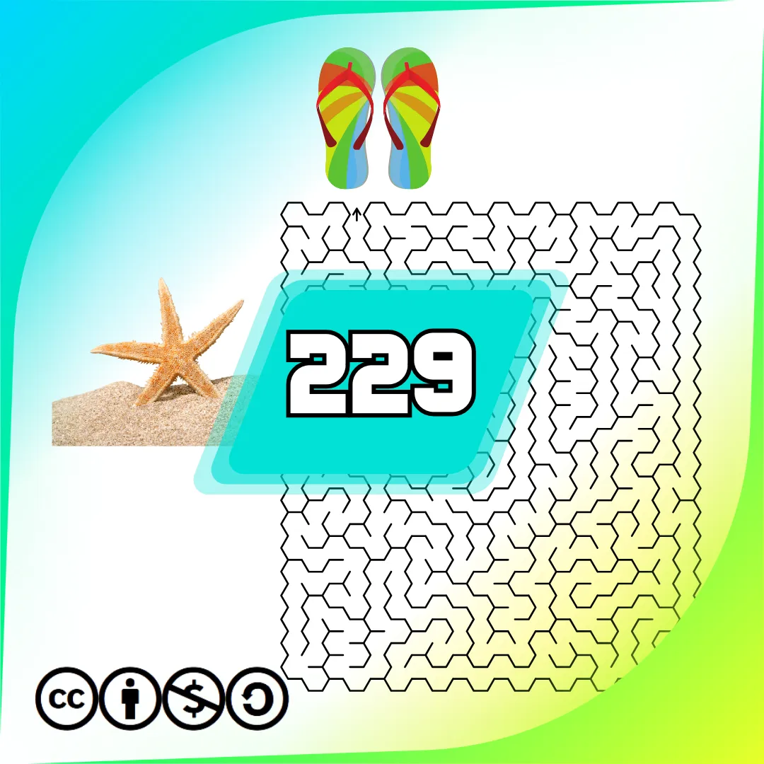 Labyrinthen Heft nr. 229